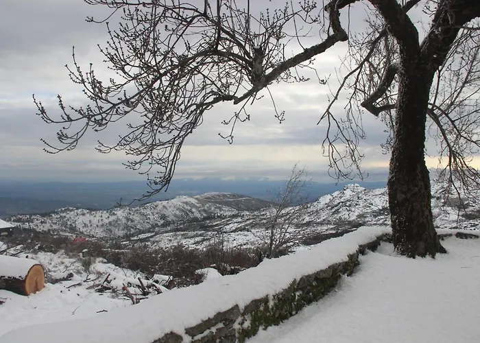 Primor Serra Al 2 Covilhã